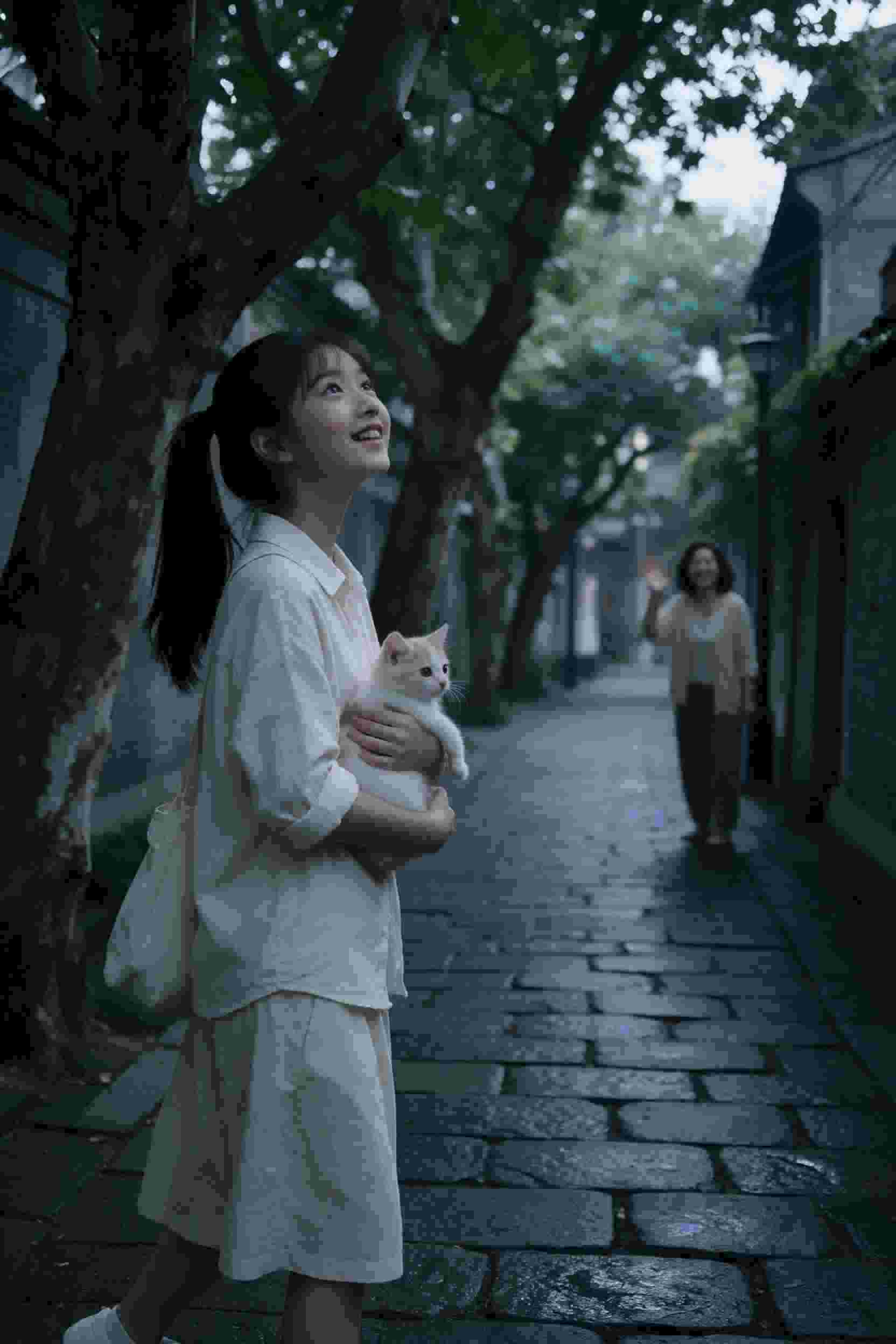 动漫2